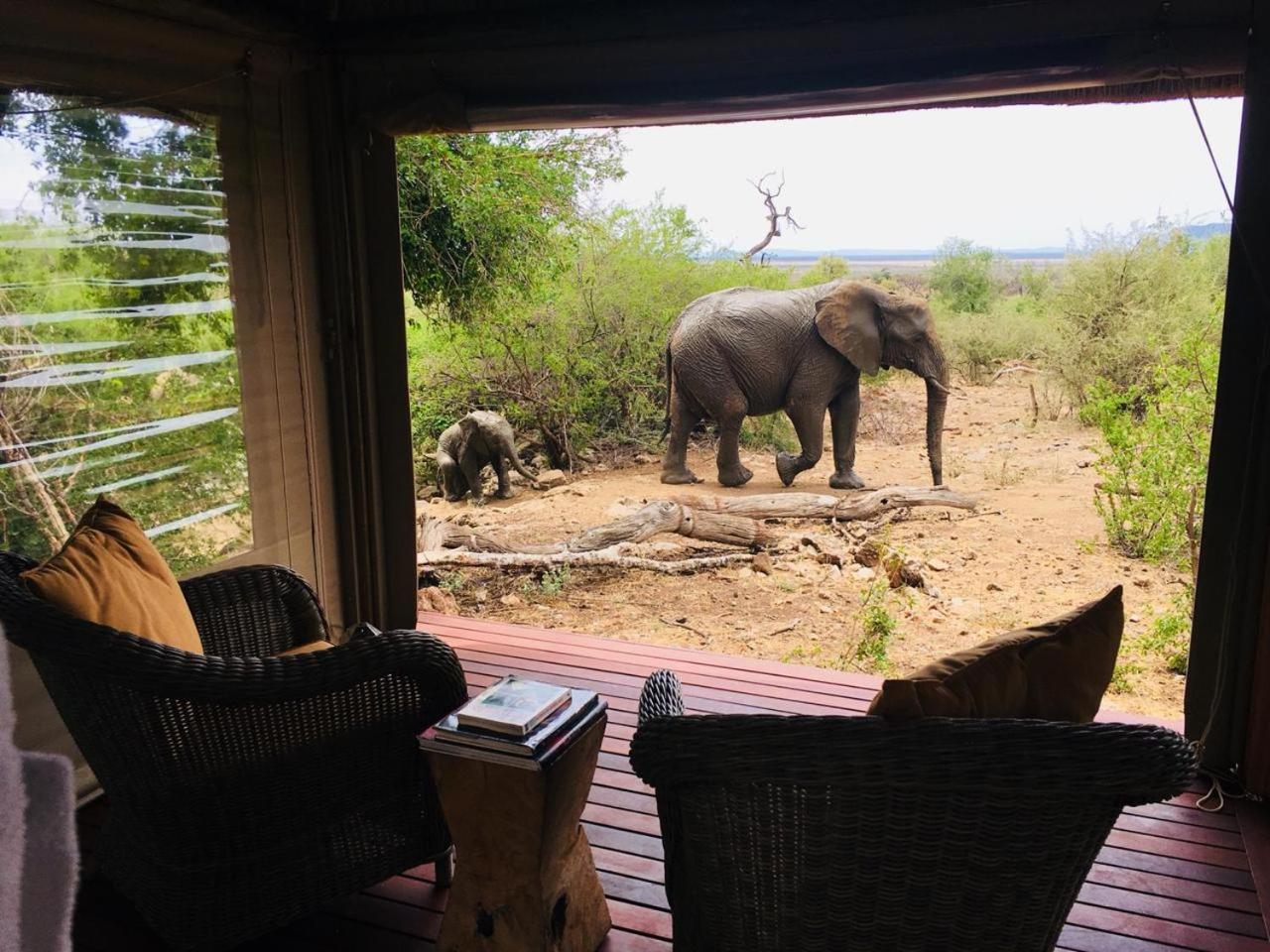 Impodimo Game Lodge Madikwe Game Reserve Exterior photo